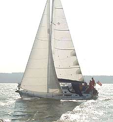 solent sailing